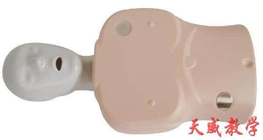 身心肺復(fù)蘇訓(xùn)練模擬人（簡易型）