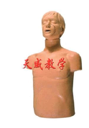 半身心肺復(fù)蘇訓(xùn)練模擬人